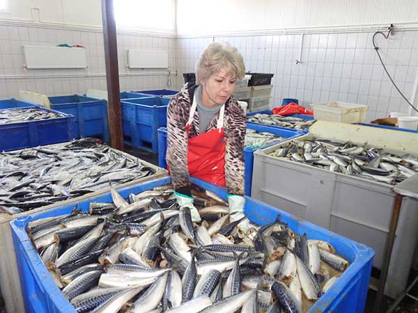 Рыбзавод
