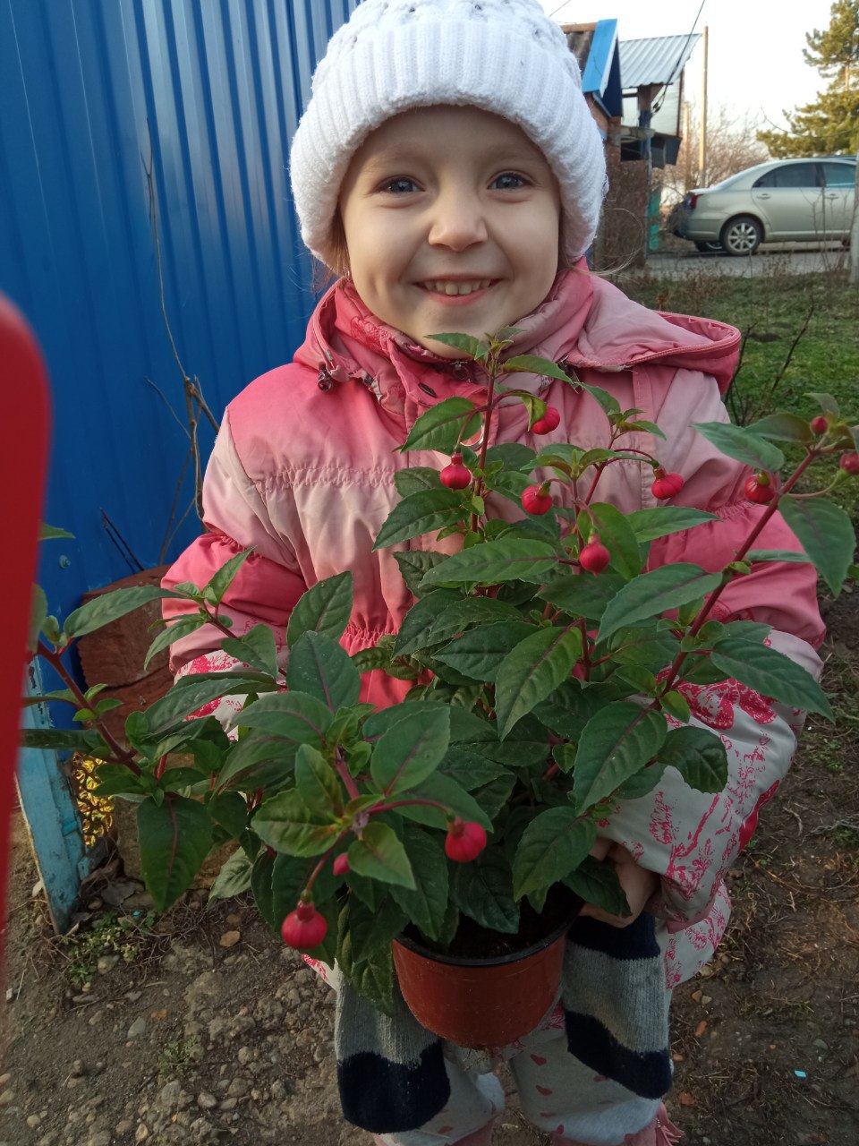 Анастасия Зеленская