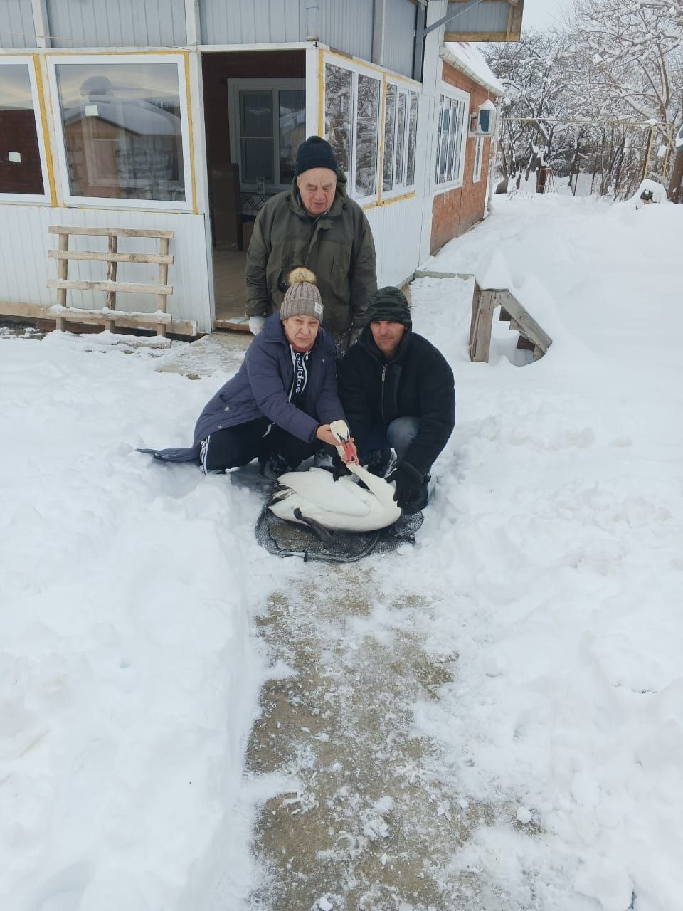 photo 2026 01 15 16 04 20